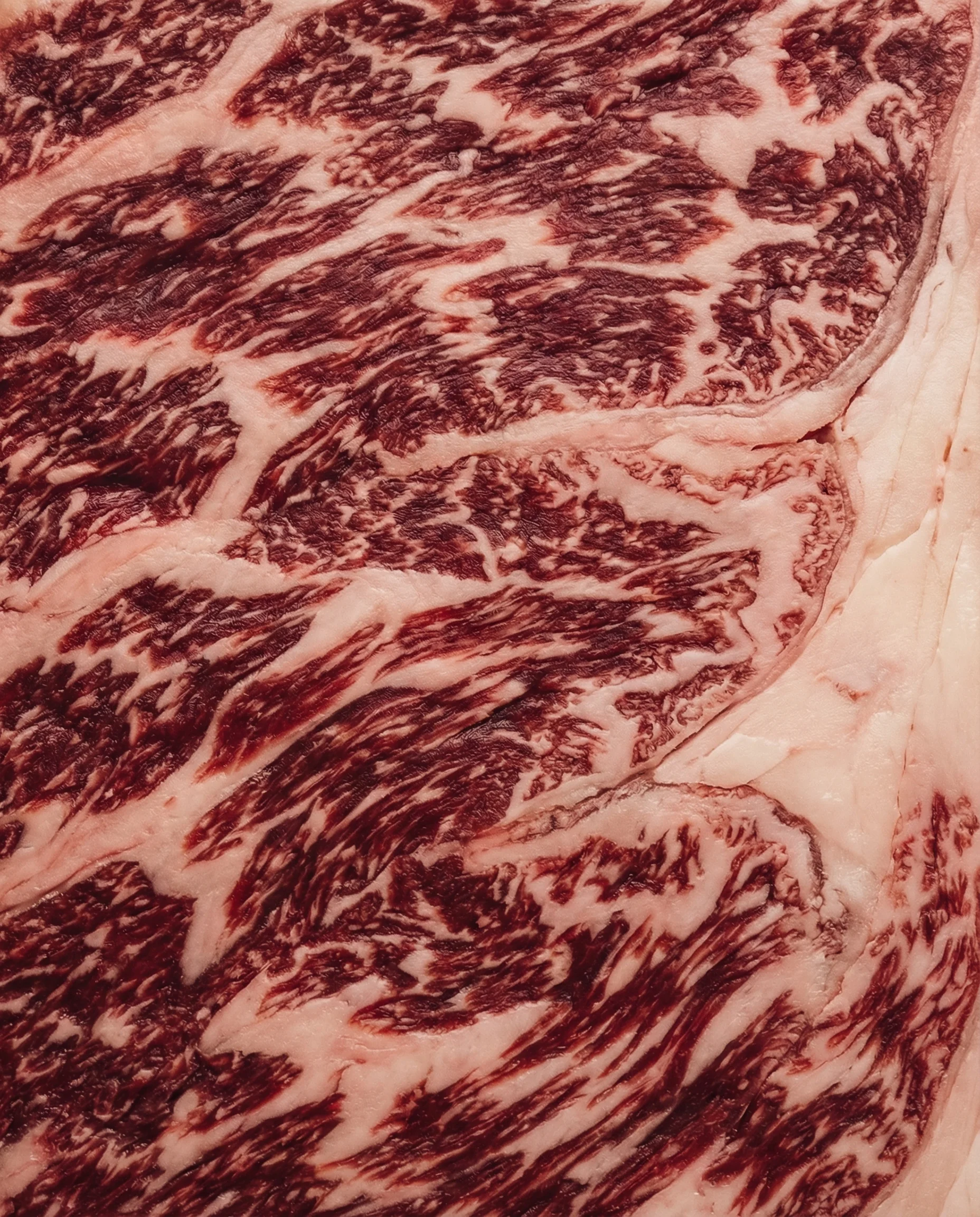 Extreme close-up of raw Wagyu marbling texture and intramuscular fat